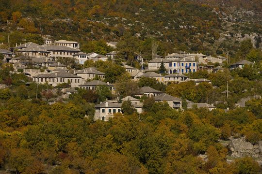 monodendri